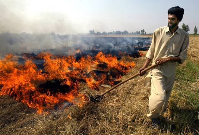 The Never-Ending Saga of Northern India Winter Fires