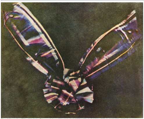 First color photograph of a tartan ribbon